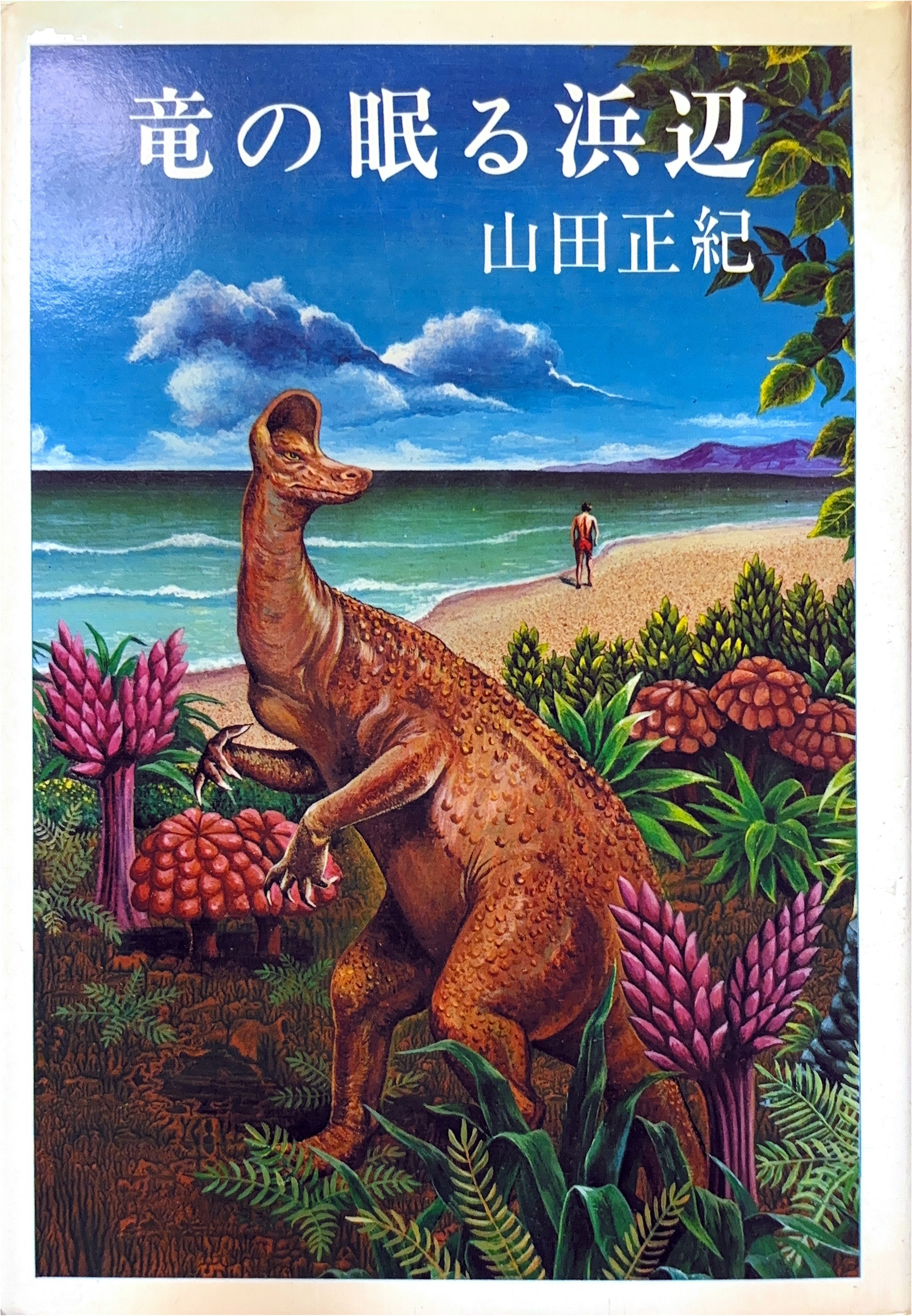 竜の眠る浜辺 初版書影