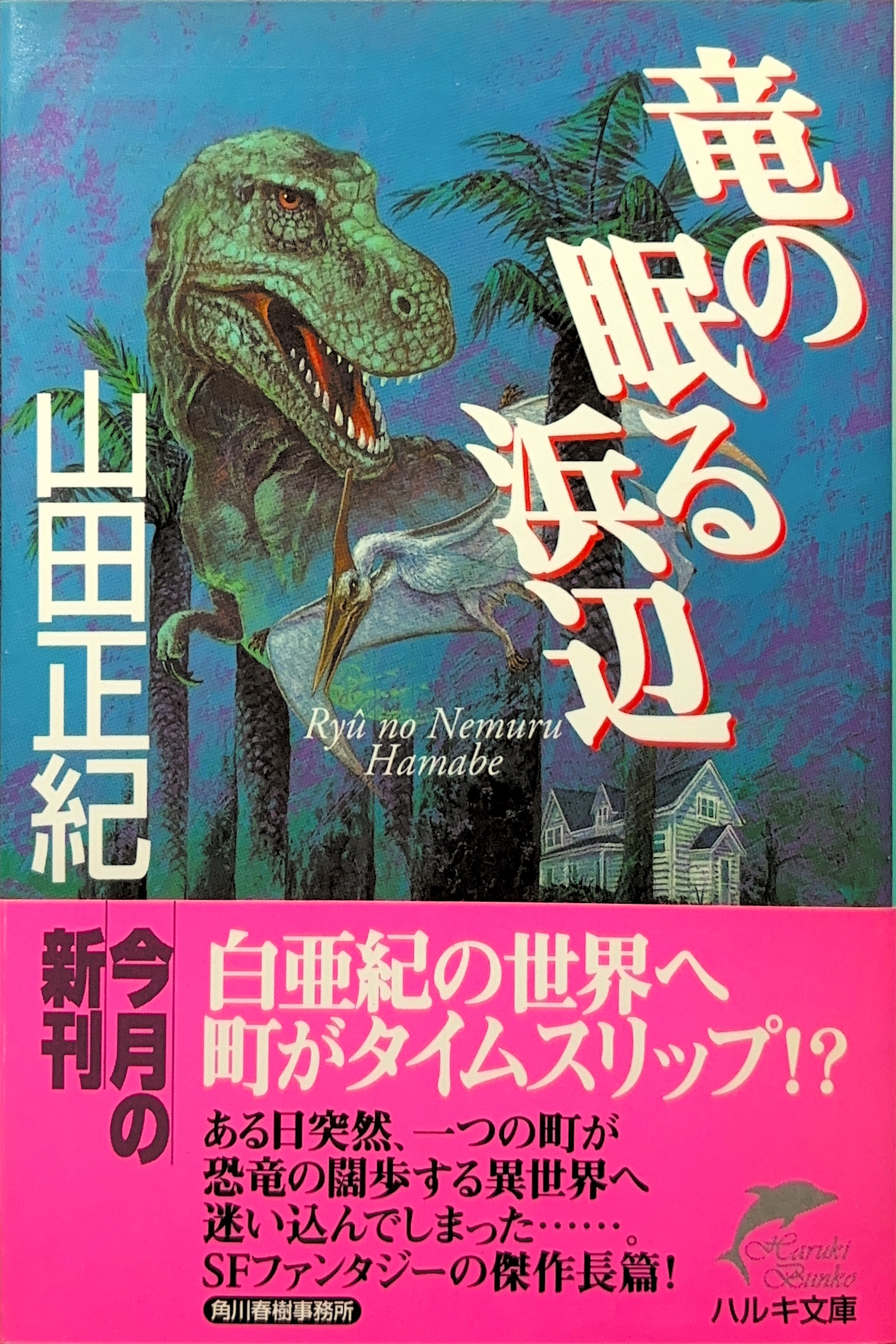 竜の眠る浜辺 文庫書影