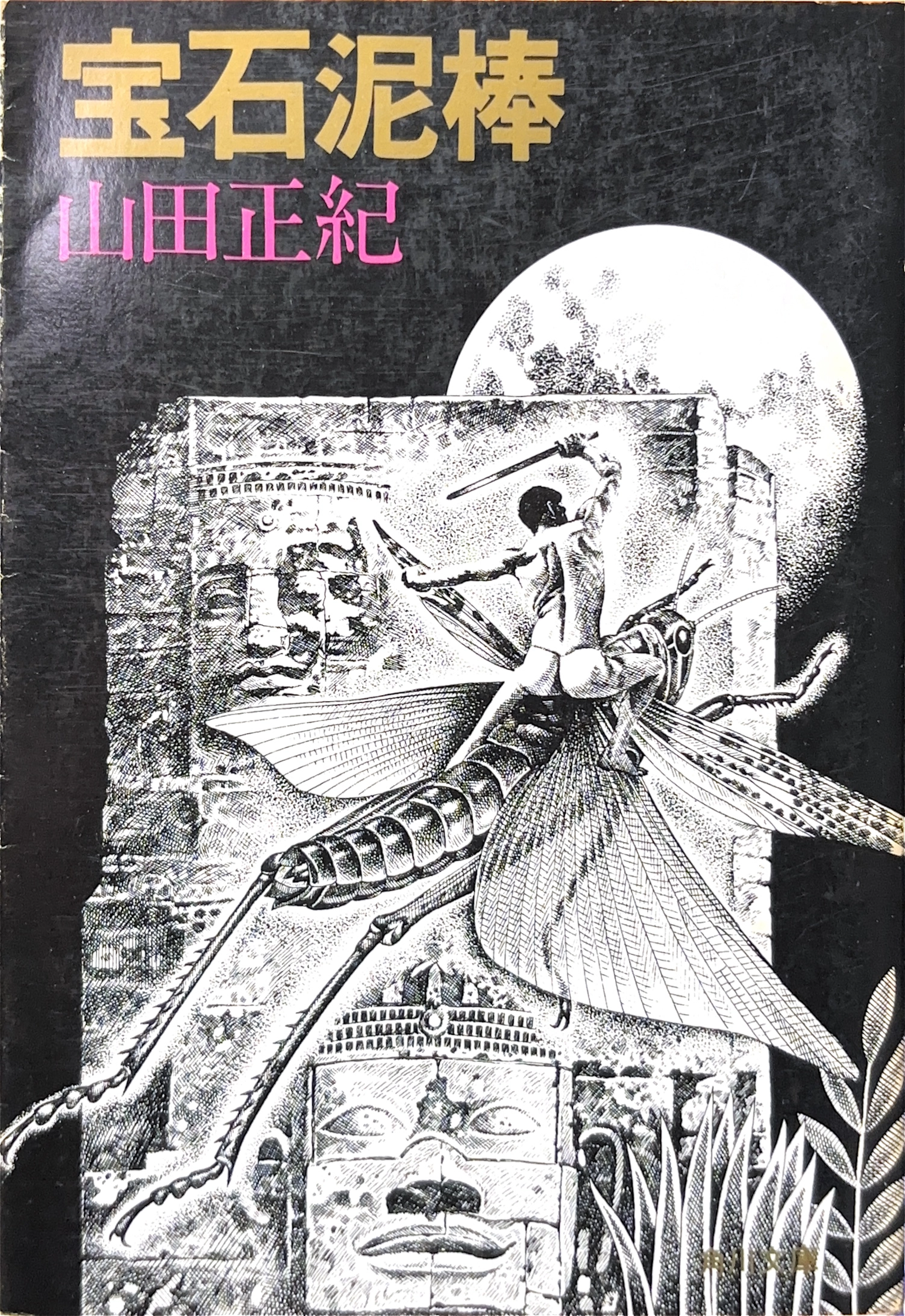 宝石泥棒文庫書影