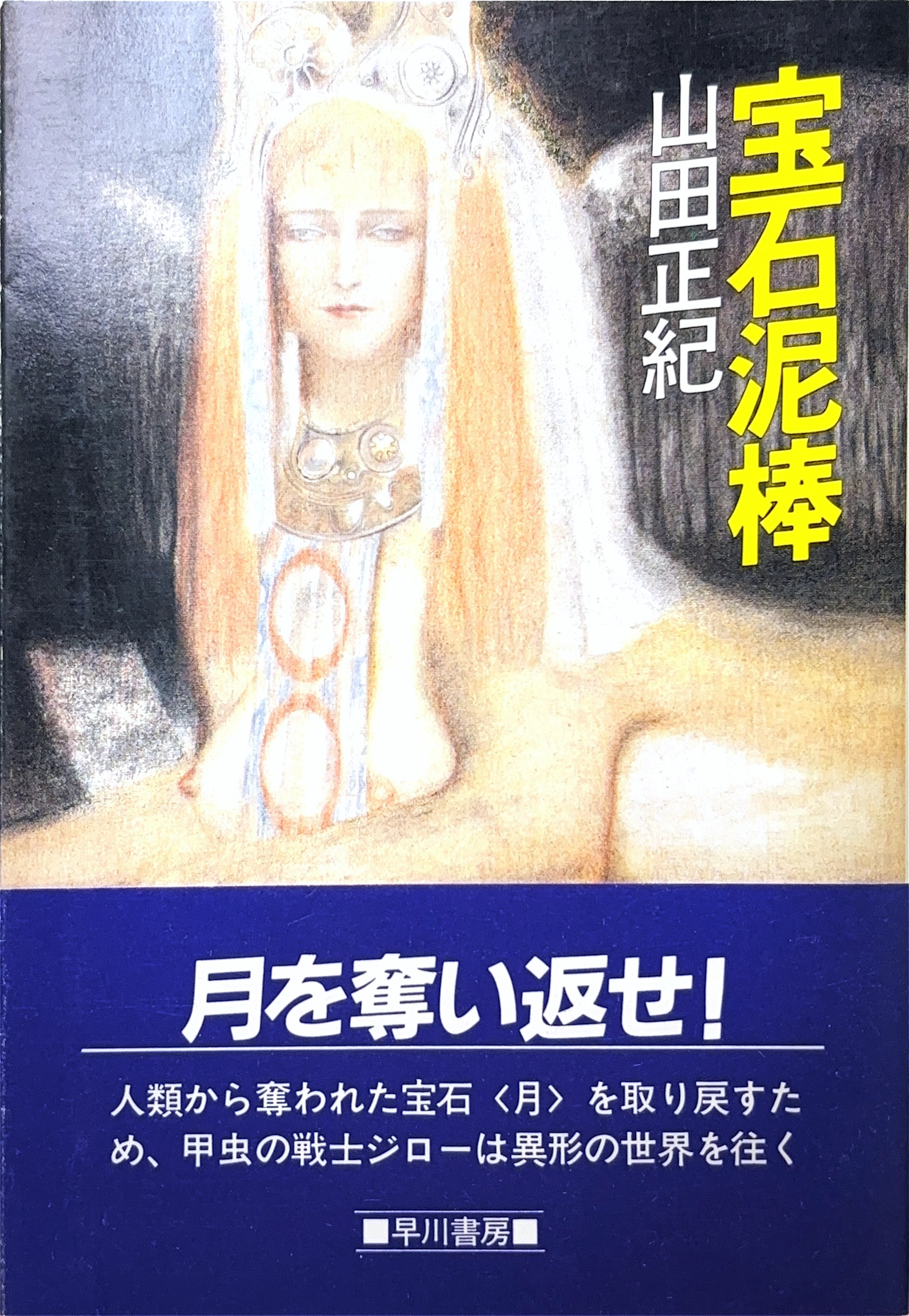 宝石泥棒文庫書影