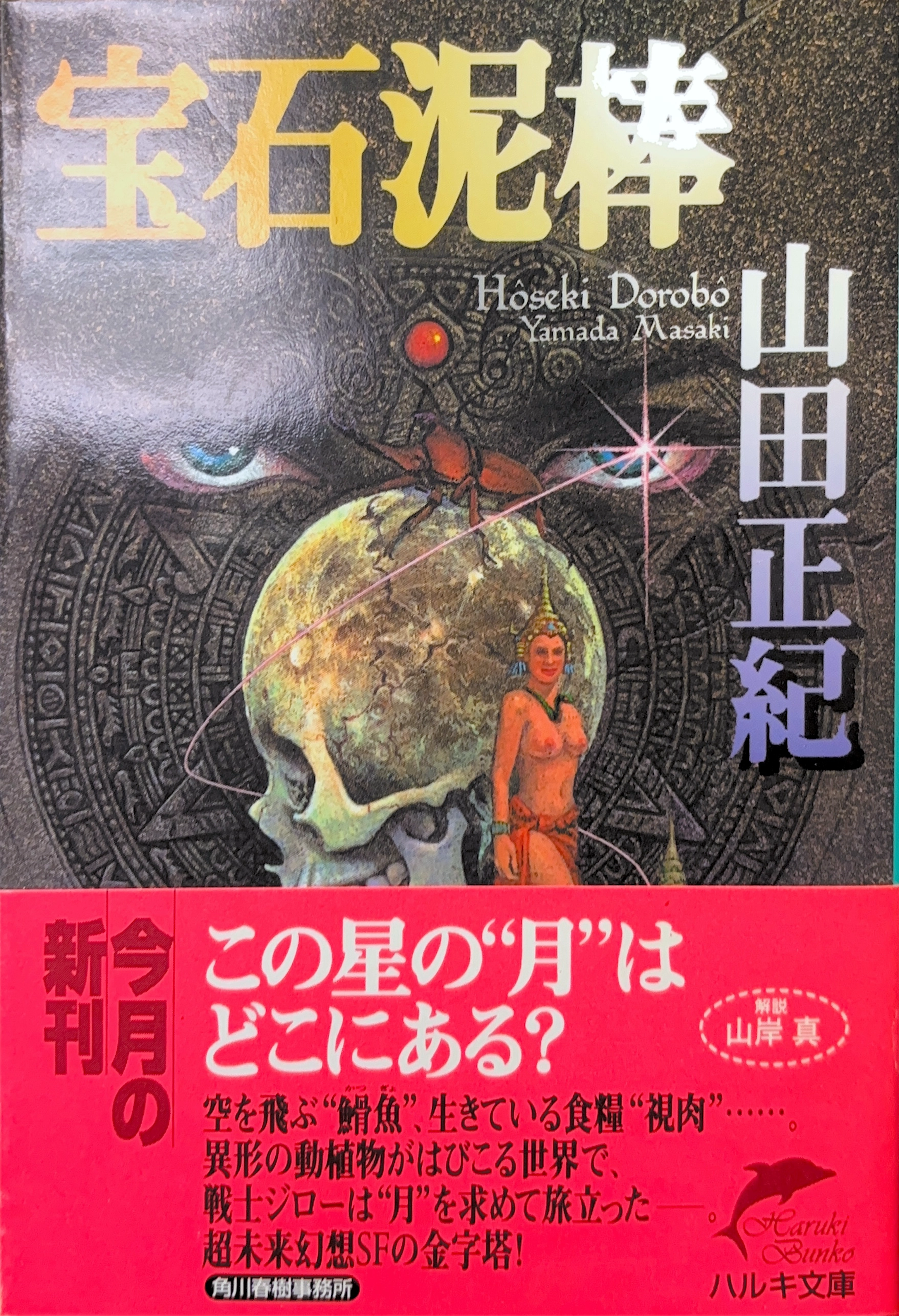 宝石泥棒文庫書影